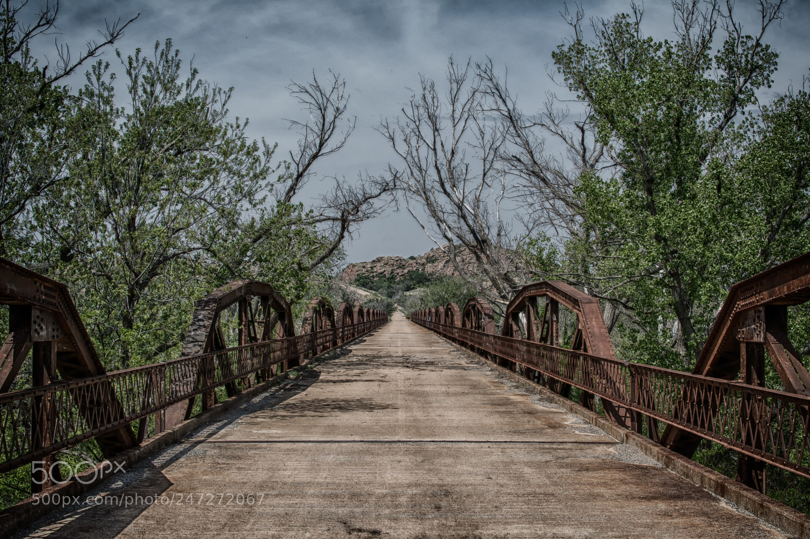 Nikon D7100 sample photo. 3625 photography