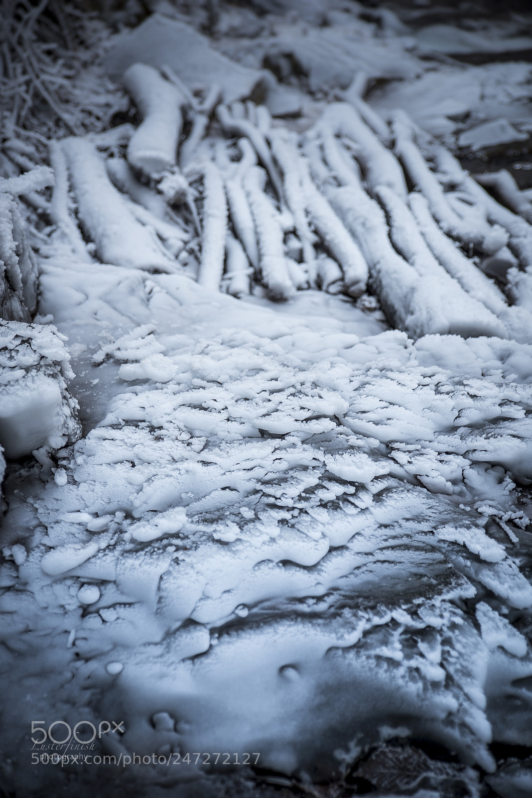 Nikon D810 sample photo. Pattern photography