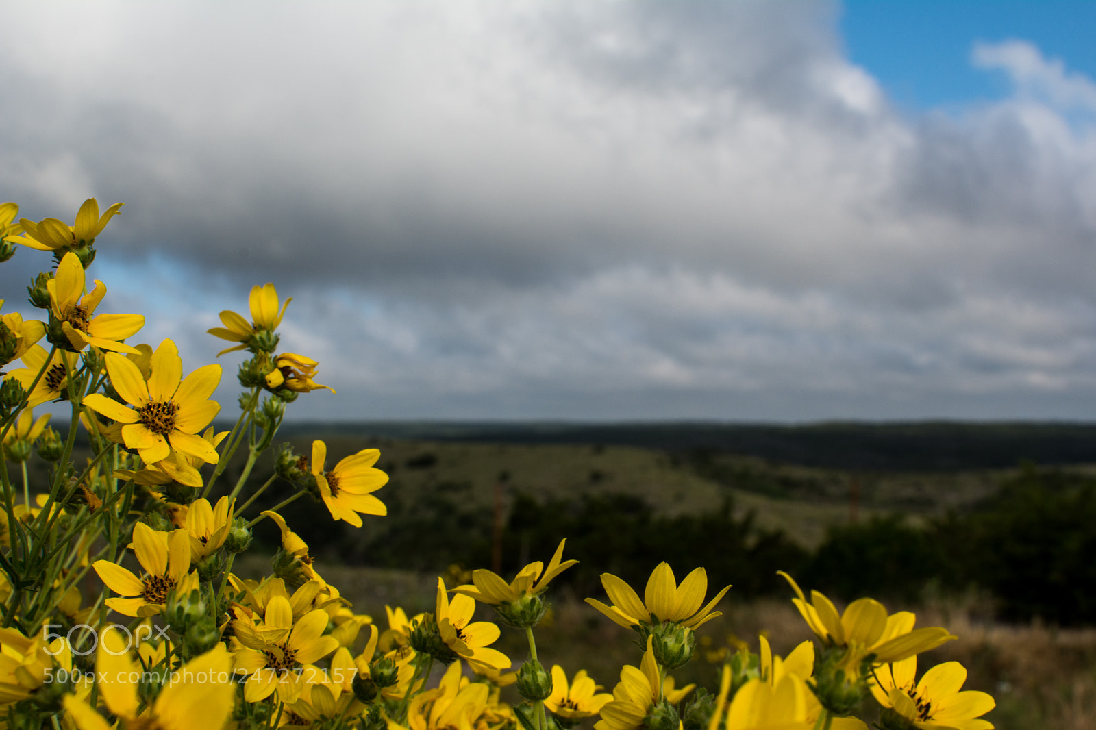 Nikon D7100 sample photo. 4049 photography