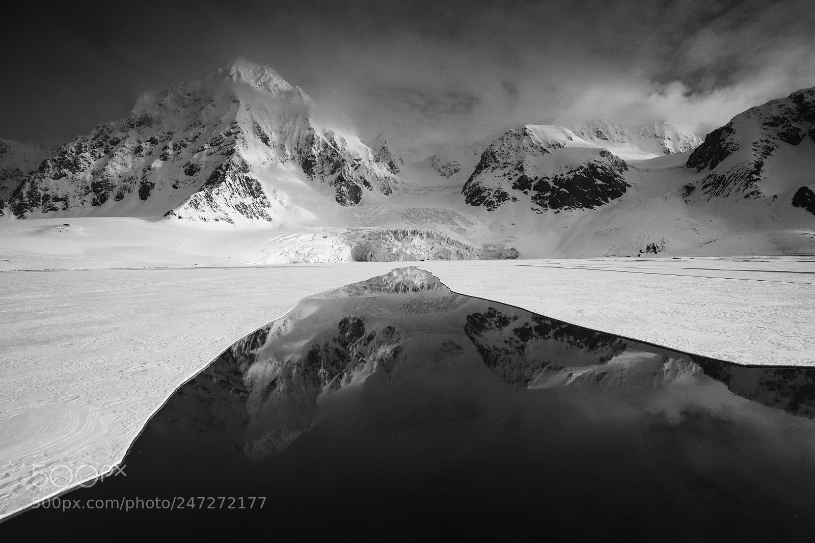 Nikon D5 sample photo. Svalbard photography