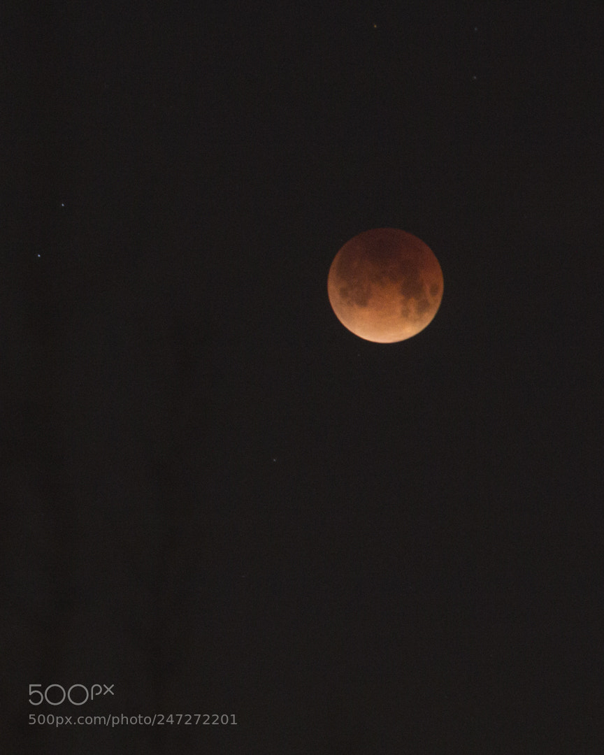Canon EOS 60D sample photo. Blood moon photography