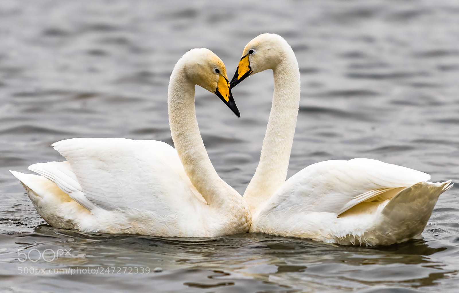 Nikon D500 sample photo. From iceland with love photography