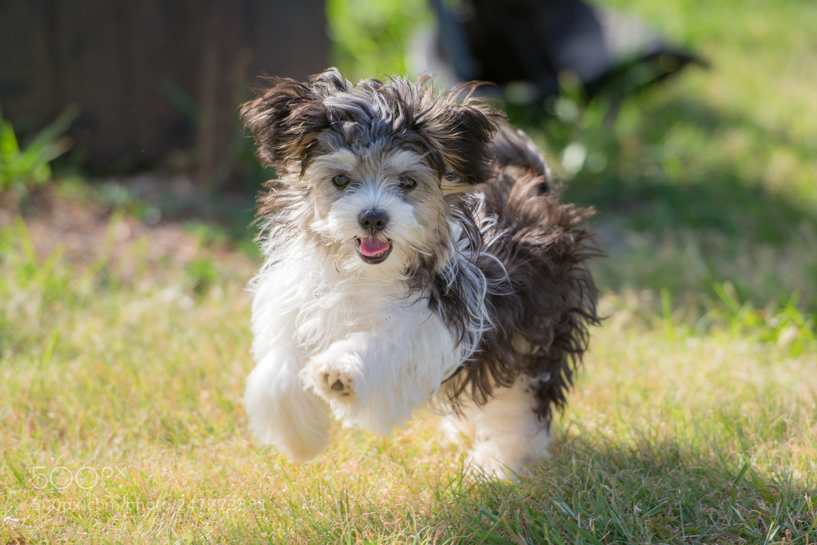 Nikon D7100 sample photo. 9364 photography