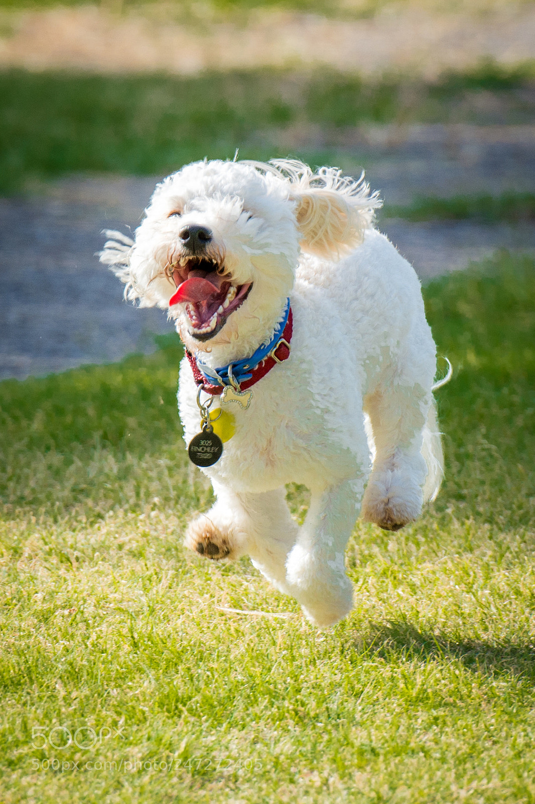 Nikon D7100 sample photo. 9468 photography