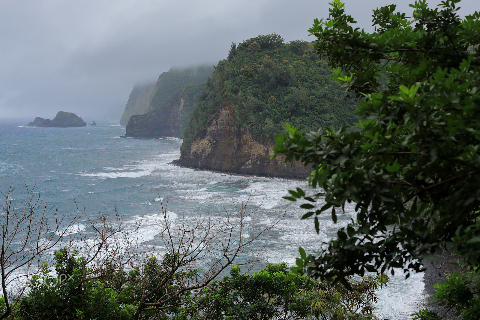 Canon EF 50mm F1.4 USM sample photo. Pololu valley lookout in hawaii photography
