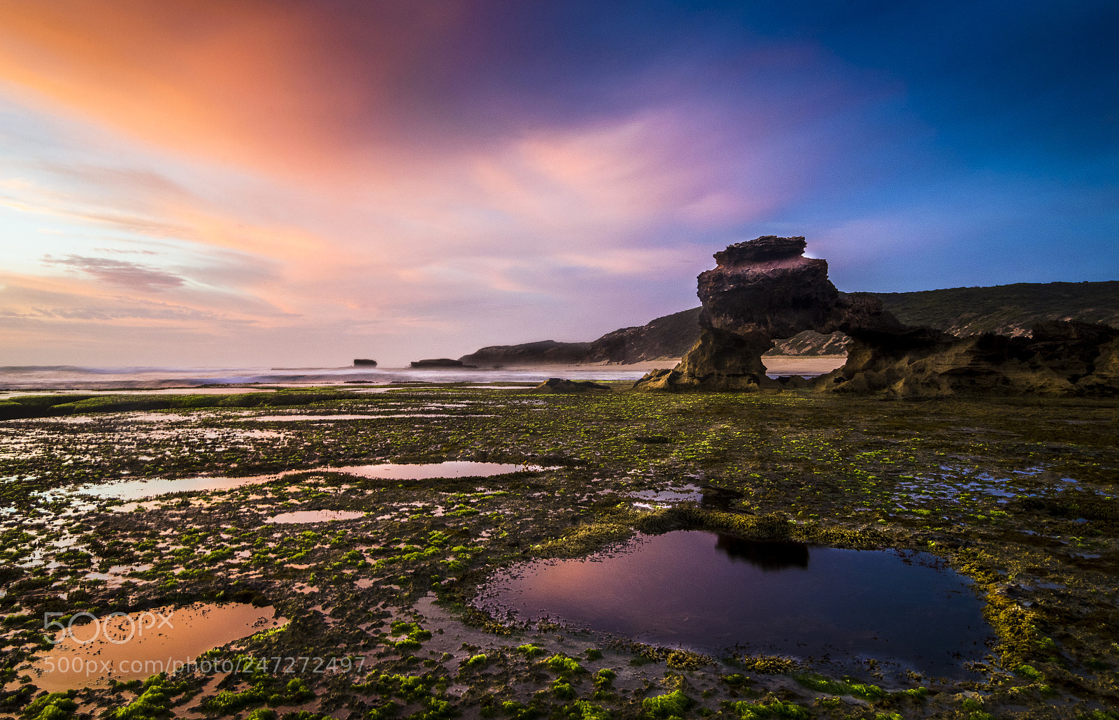 Nikon D5100 sample photo. ~ portsea ~ photography