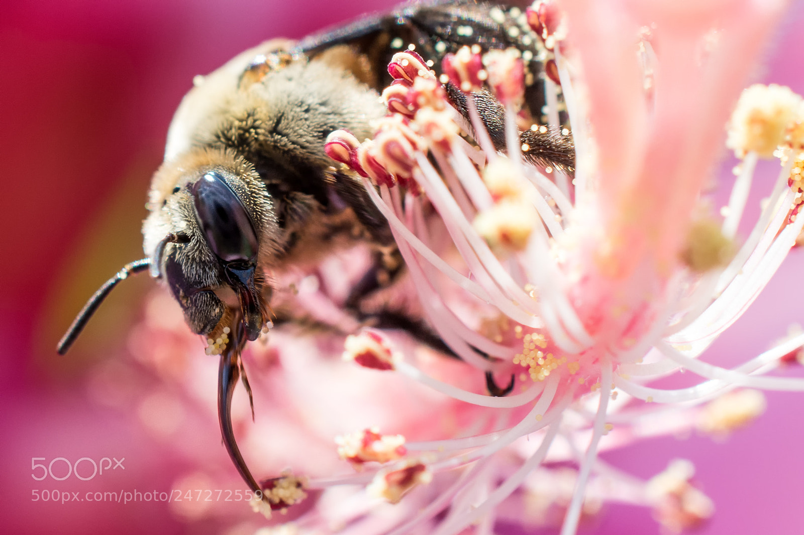 Nikon D7100 sample photo. 9559 photography