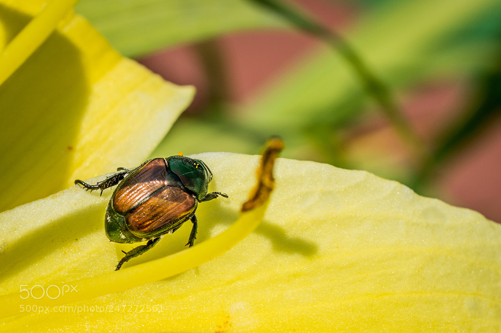 Nikon D7100 sample photo. 9590 photography