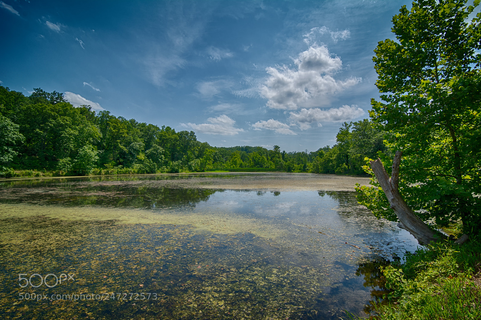 Nikon D7100 sample photo. 9639 photography