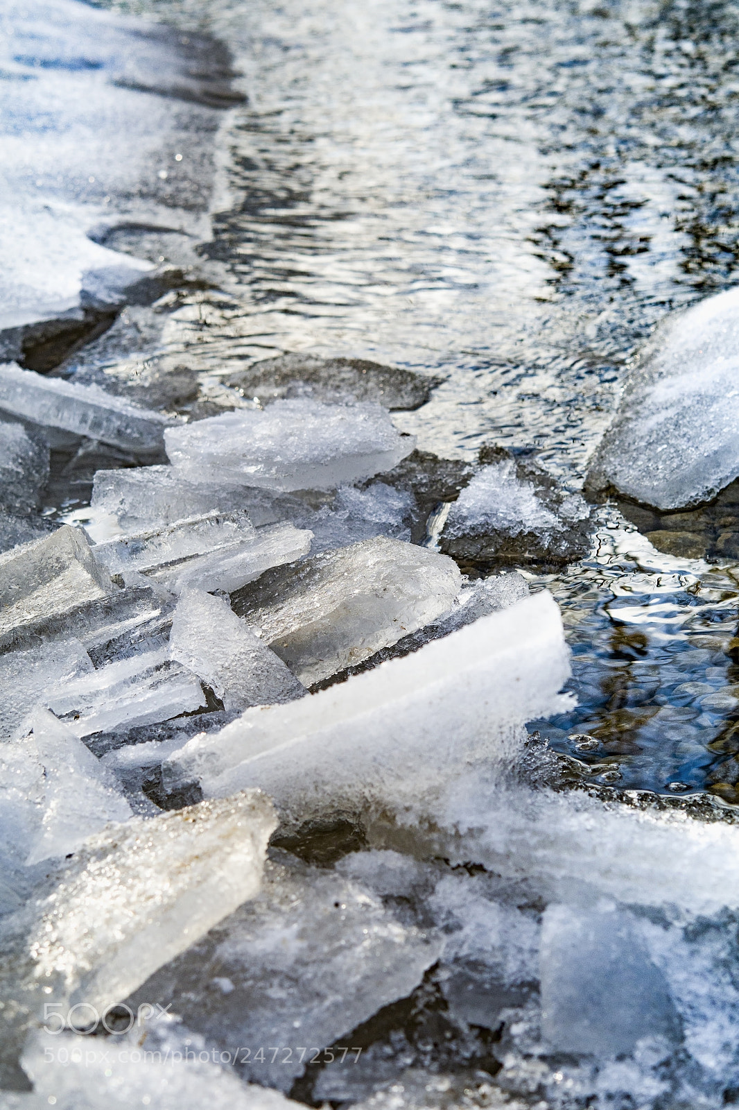 Nikon D500 sample photo. Ice in river photography