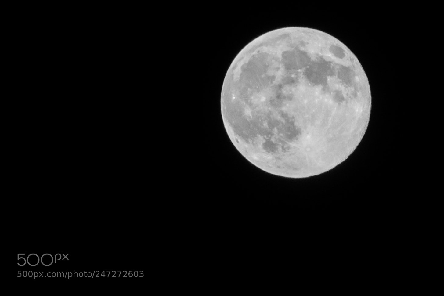 Nikon D7100 sample photo. 9826 photography