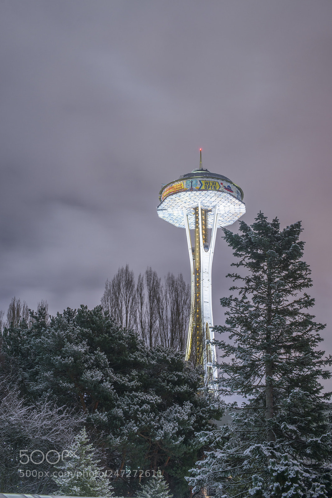 Nikon D800 sample photo. Snow at seattle center photography