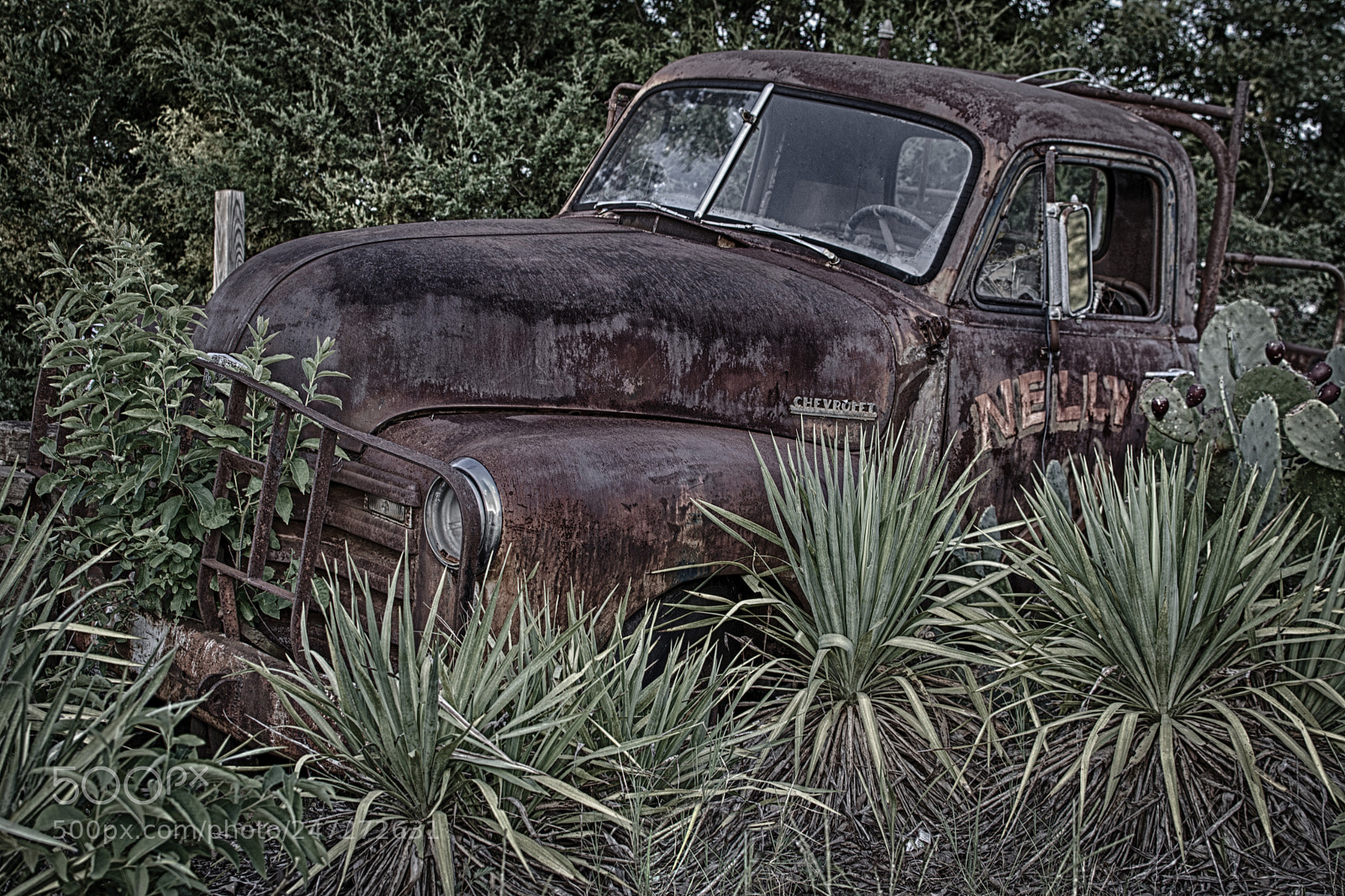 Nikon D7100 sample photo. 9843 photography