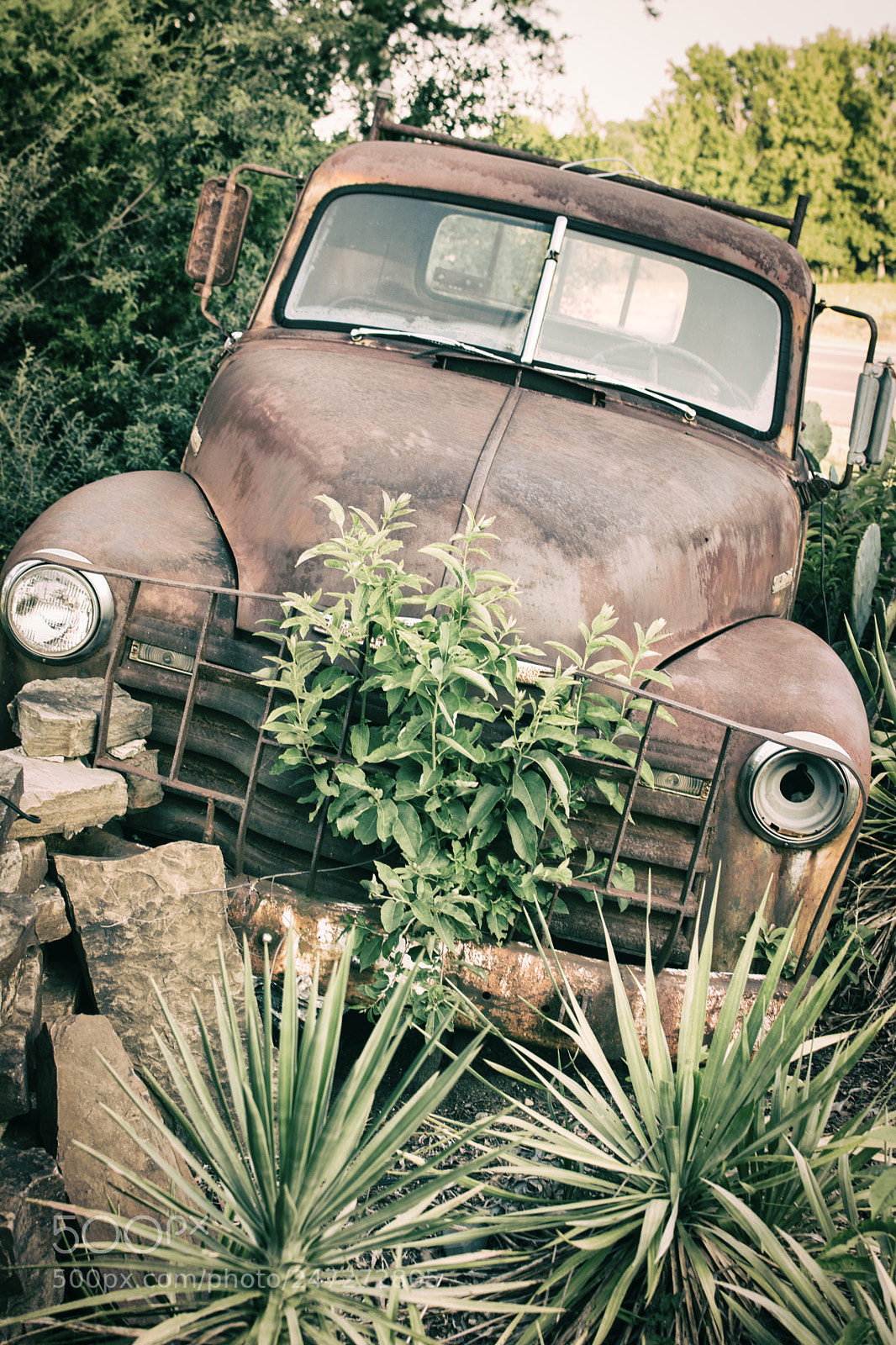 Nikon D7100 sample photo. 9851 photography