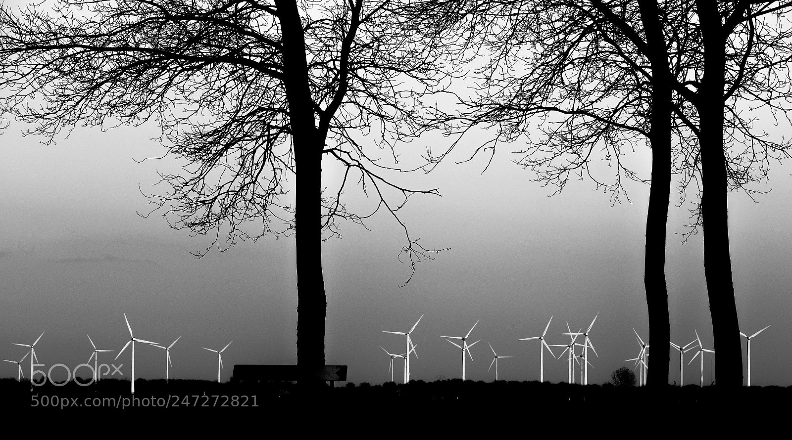 Fujifilm X-T2 sample photo. Flevoland windmills photography