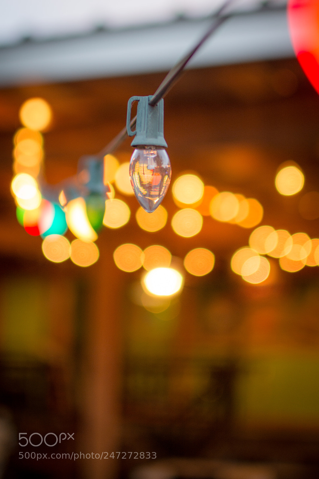 Nikon D7100 sample photo. 9857 photography