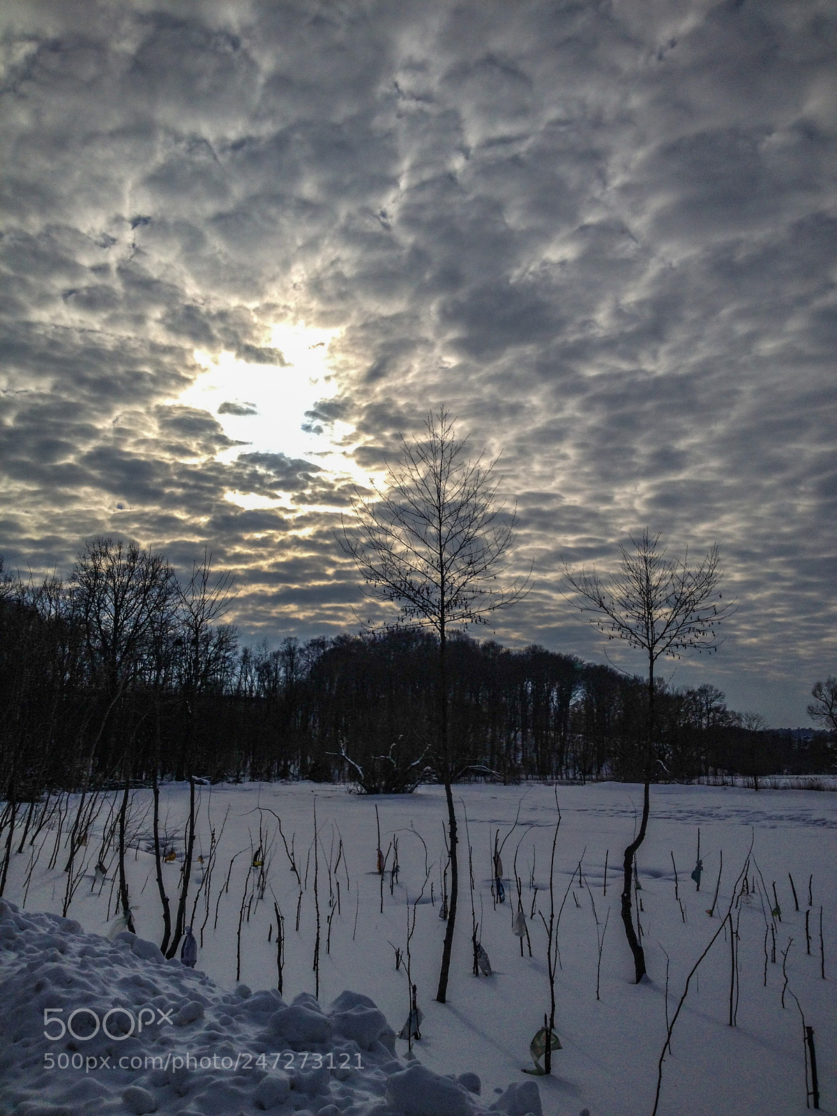 Apple iPhone 4S sample photo. Finaly sun photography