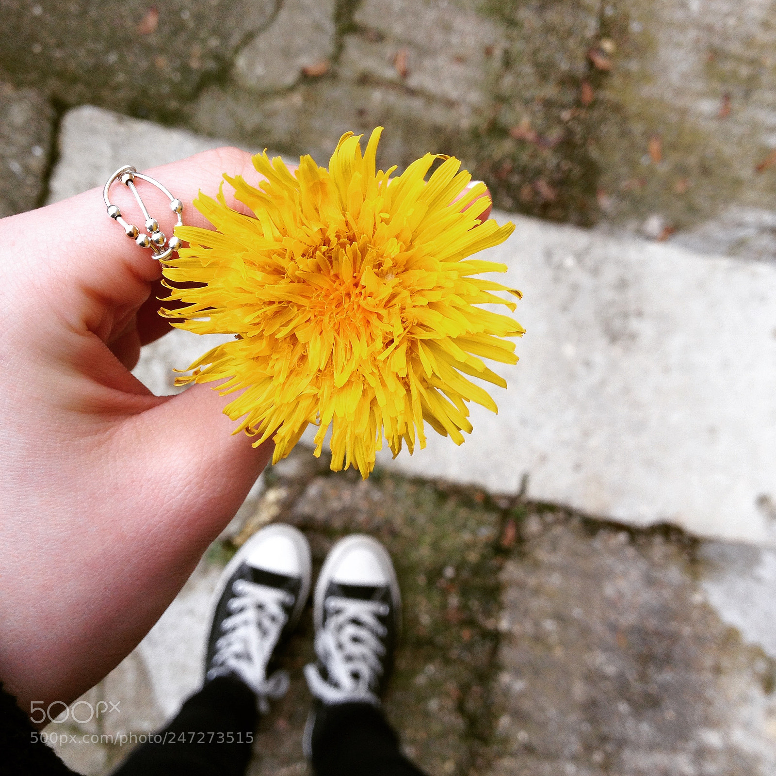 Apple iPhone 4S sample photo. Passion photography