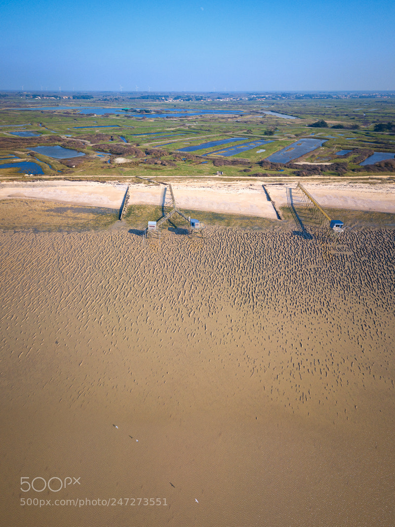 DJI FC220 sample photo. Two and one photography