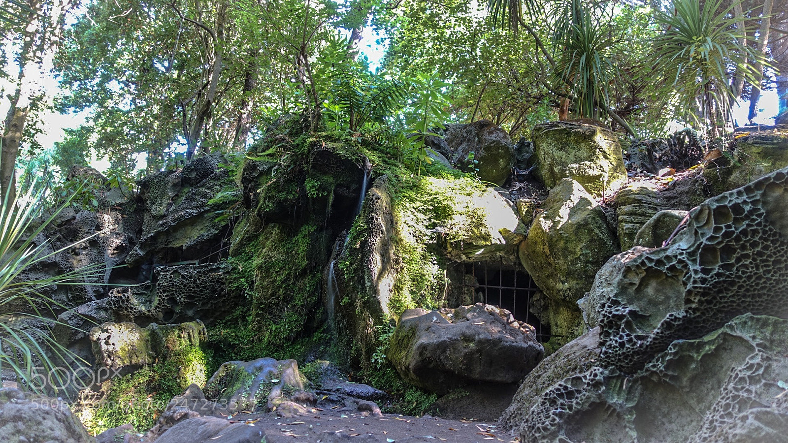 Sony Cyber-shot DSC-RX100 IV sample photo. Crave photography