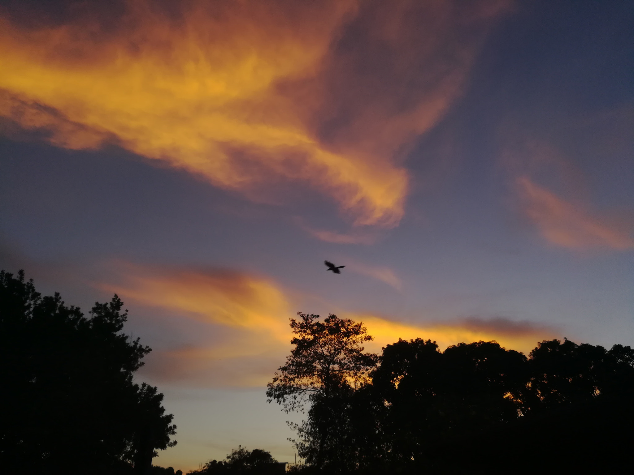 HUAWEI MATE 9 LITE sample photo. Orange sky photography