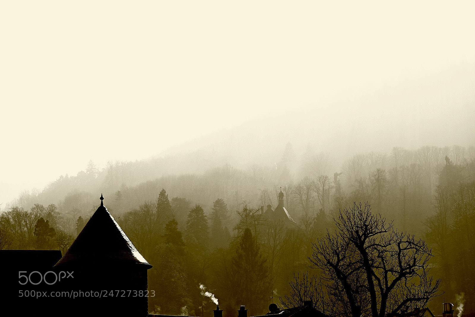 Fujifilm X-T20 sample photo. The mist photography