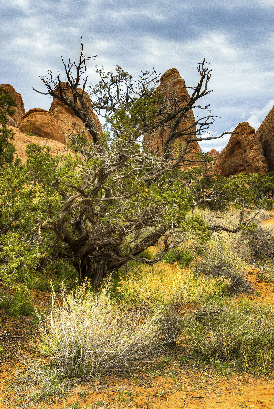 Nikon D7200 sample photo. Arches photography