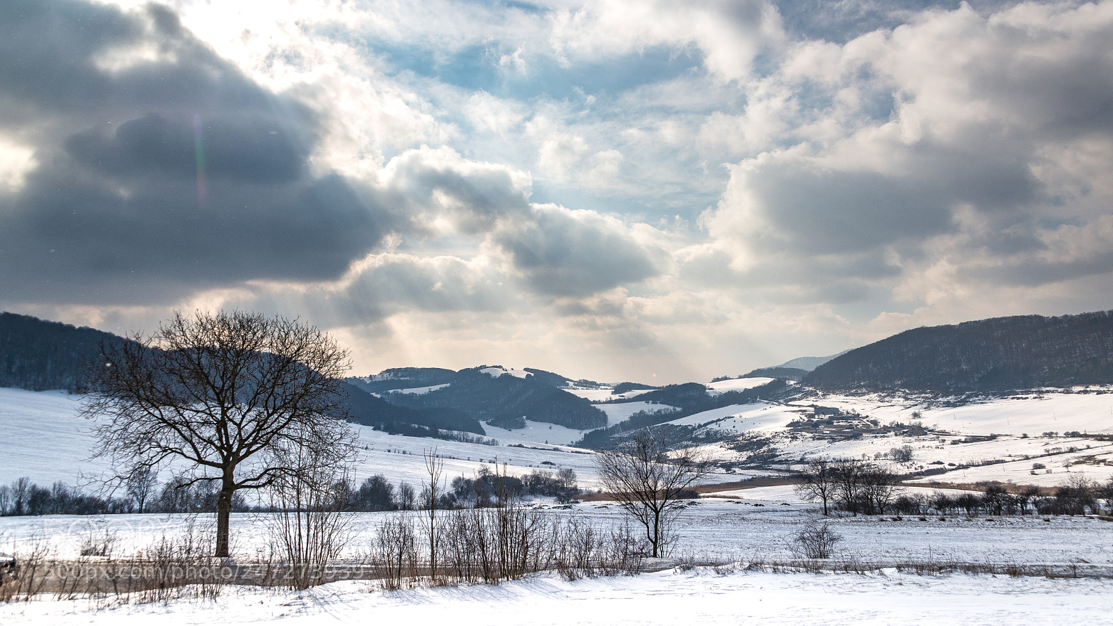 Nikon D610 sample photo. Winter land photography