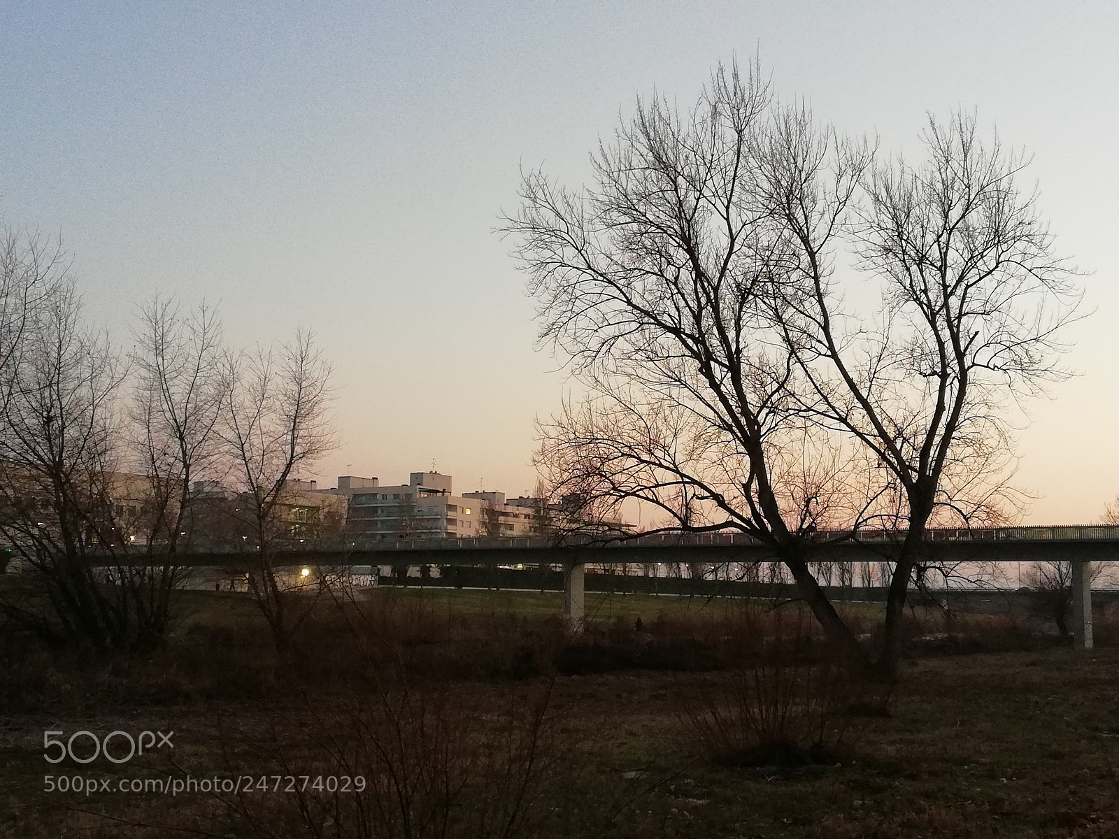 HUAWEI Mate 10 Lite sample photo. Untitled photography