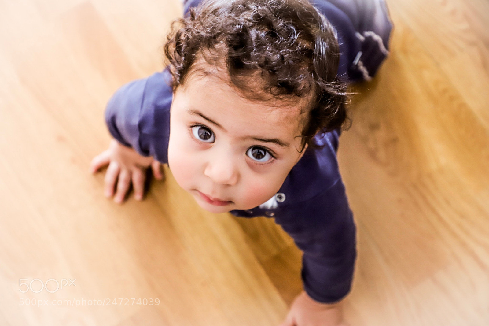 Canon EOS 6D Mark II sample photo. Untitled photography