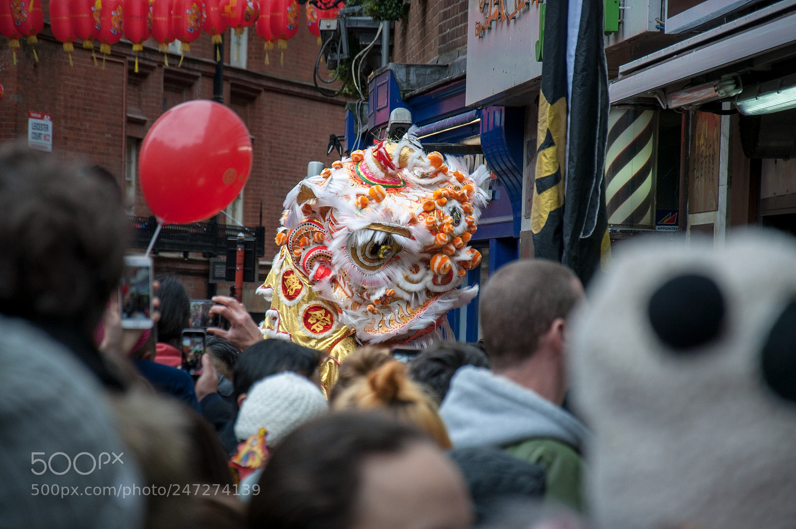Nikon D5000 sample photo. Chinese new year photography
