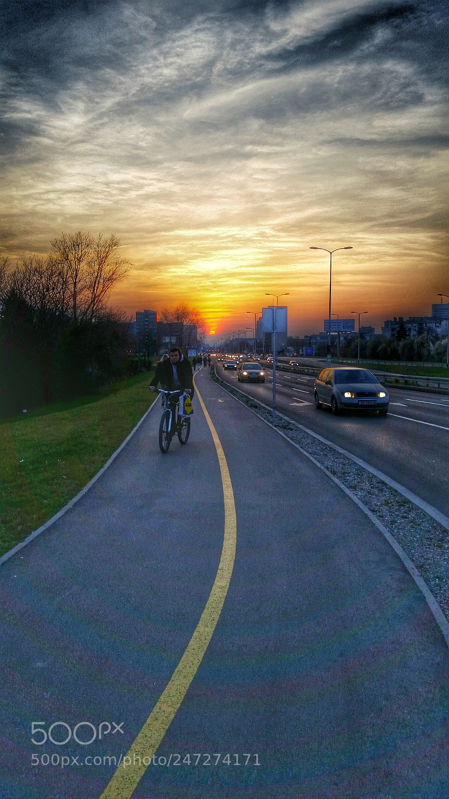 Samsung Galaxy S5 sample photo. Untitled photography