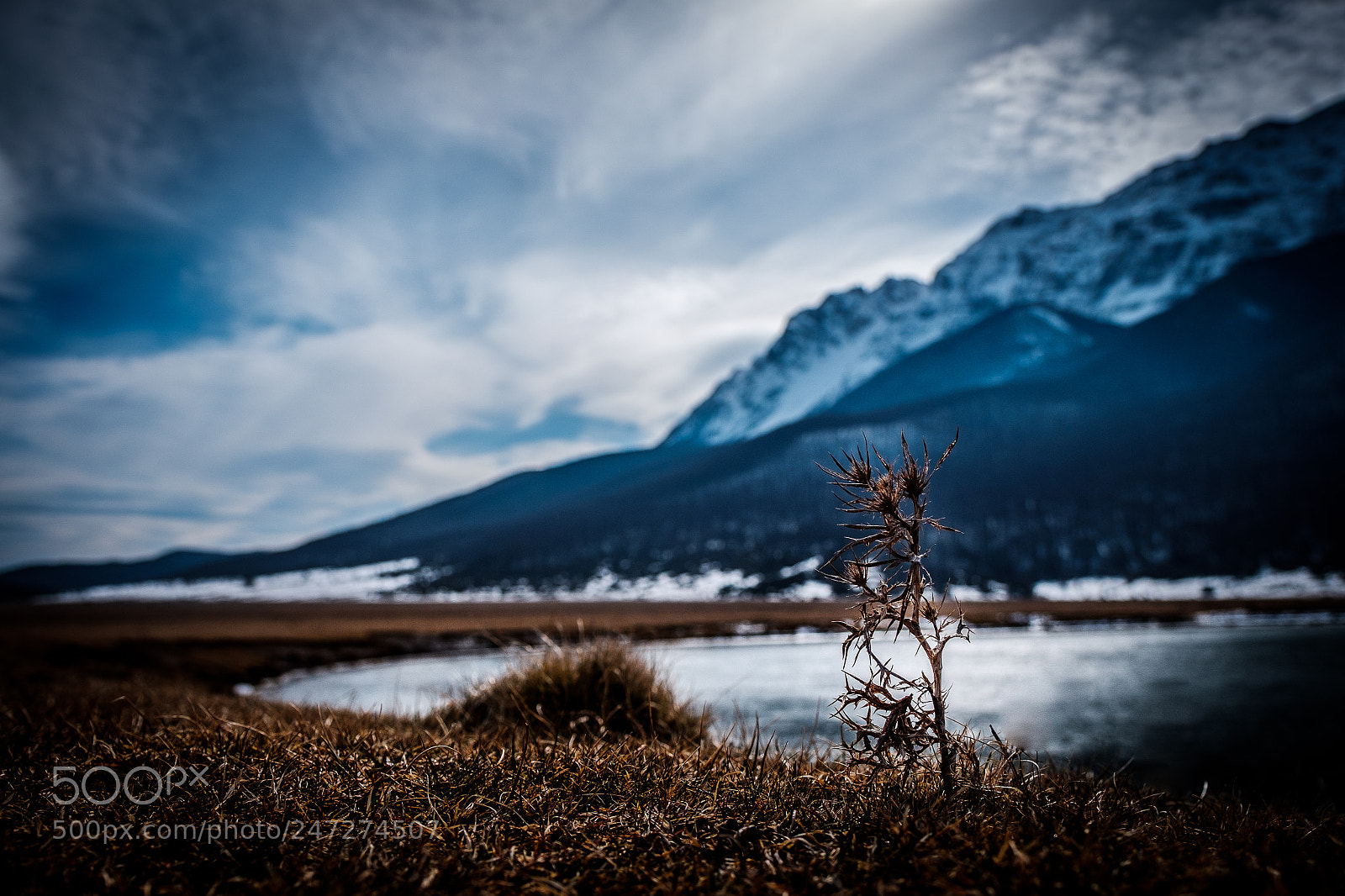 Fujifilm X-T2 sample photo. La voce del silenzio photography