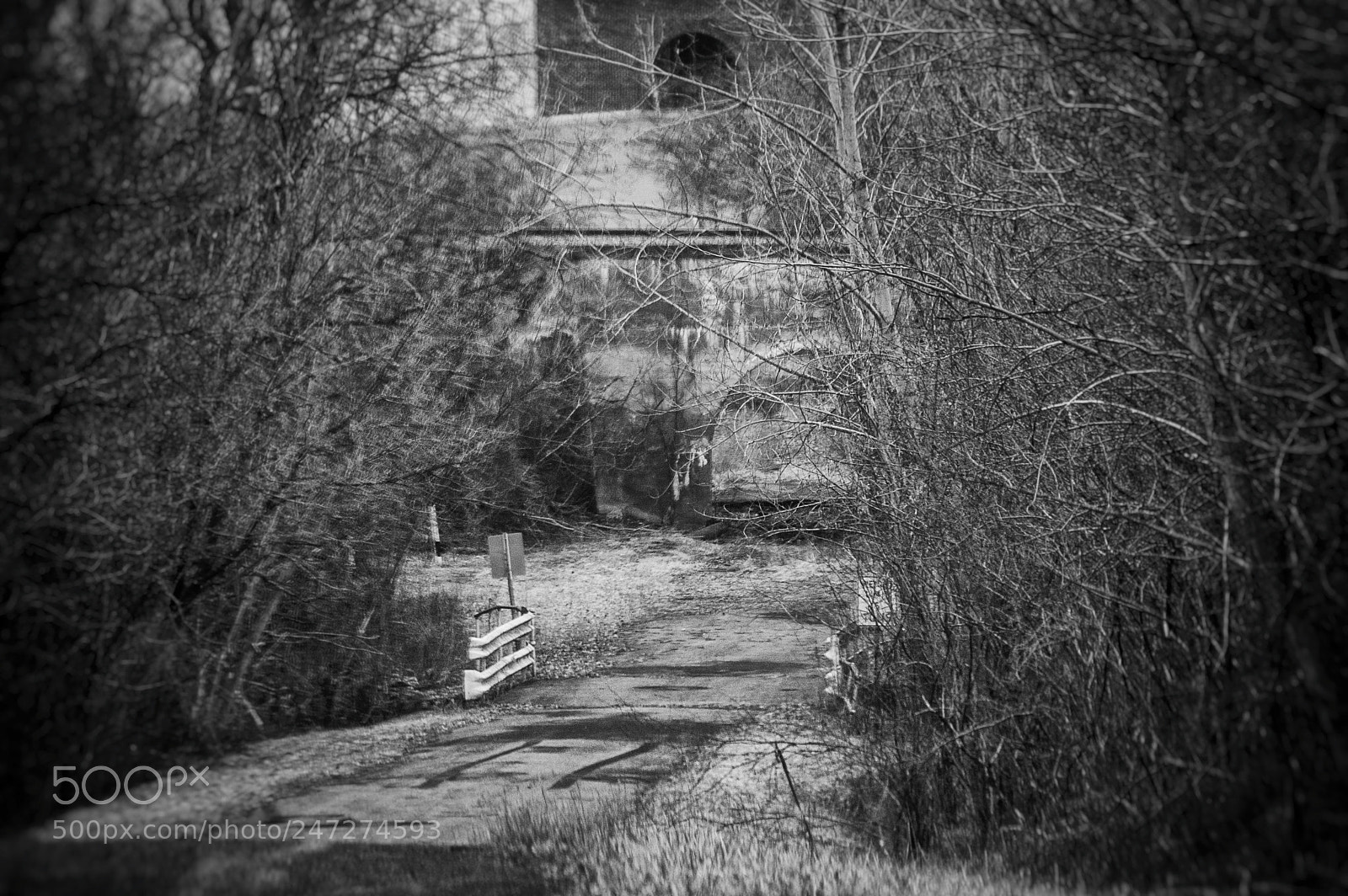 Nikon D40 sample photo. Forgotten path photography