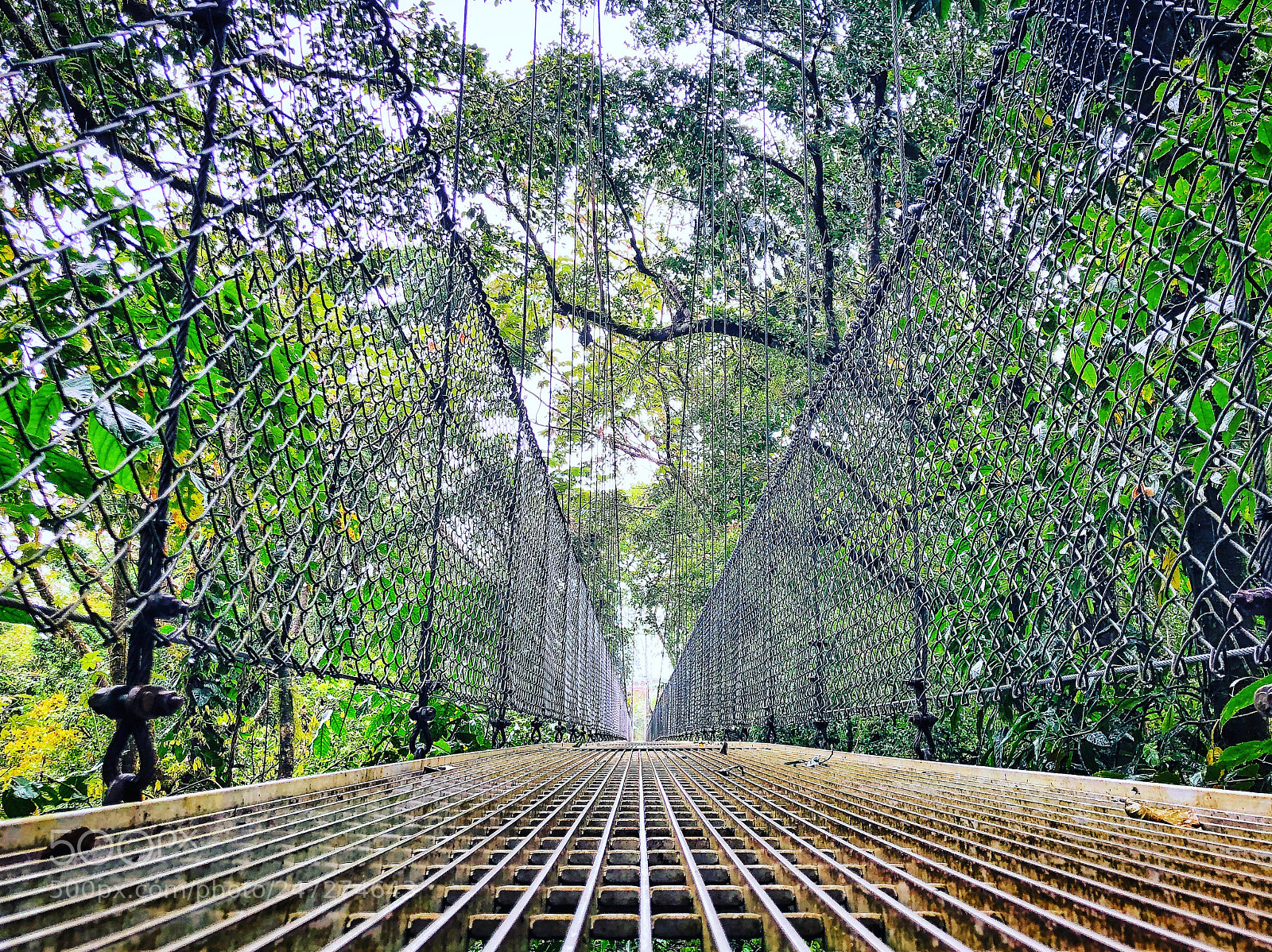 Apple iPhone X sample photo. Hanging bridges photography