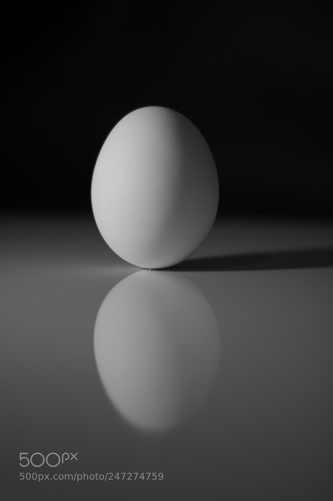 Canon EOS 750D (EOS Rebel T6i / EOS Kiss X8i) sample photo. Black and white egg photography