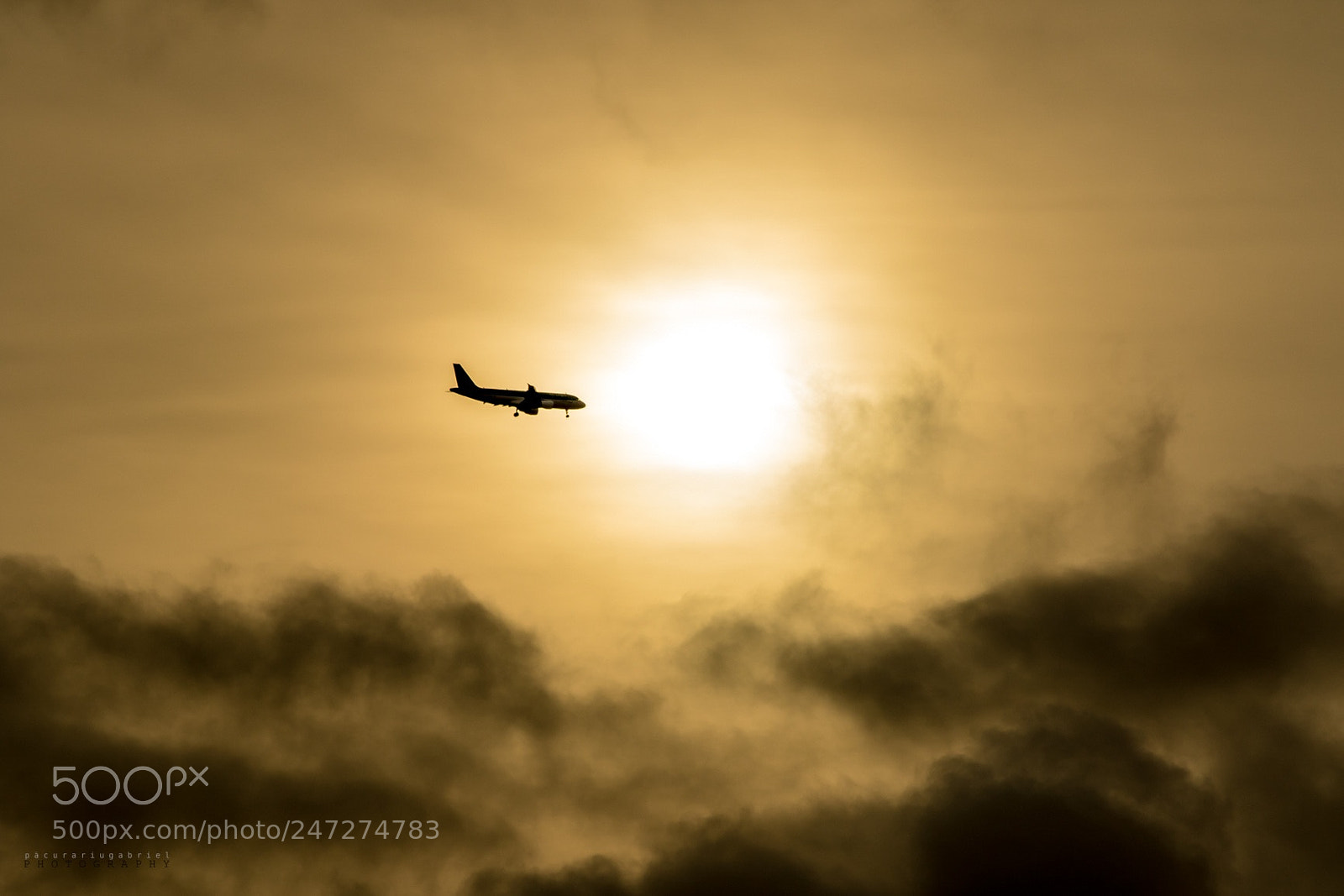 Canon EOS 7D Mark II sample photo. Landing in photography