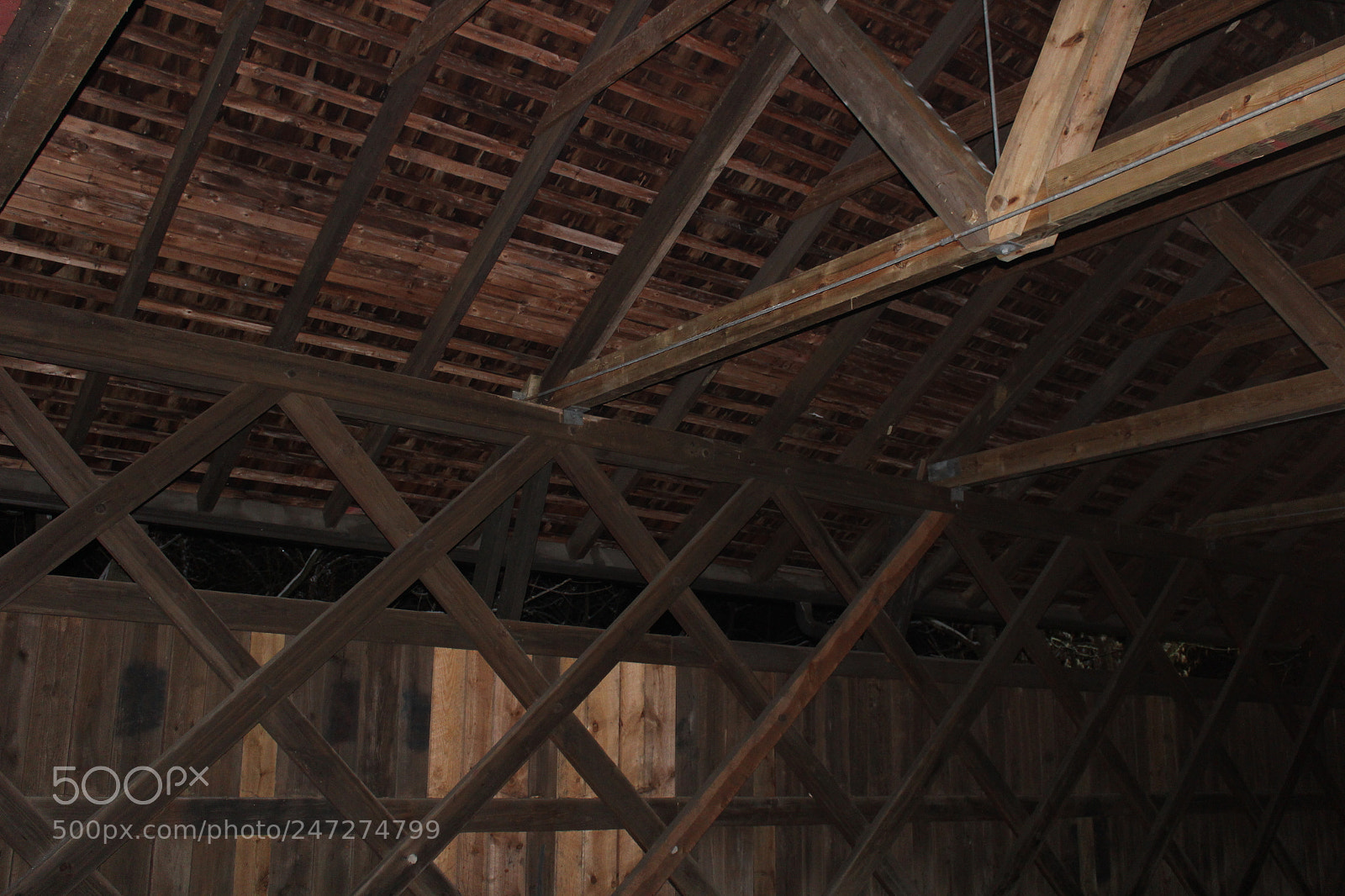 Canon EOS 1200D (EOS Rebel T5 / EOS Kiss X70 / EOS Hi) sample photo. Passion photography