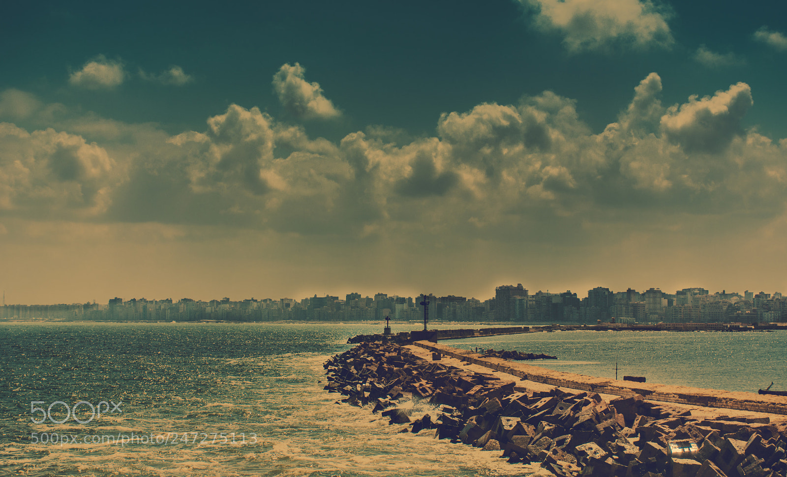 Nikon D7100 sample photo. Alexandria photography