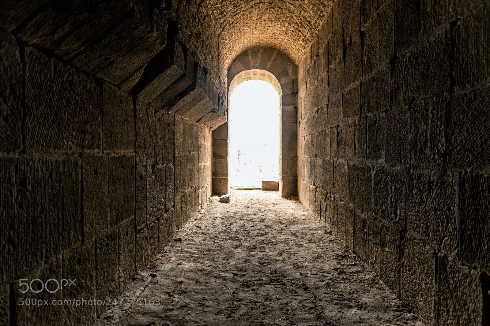 Nikon D7100 sample photo. To the light photography