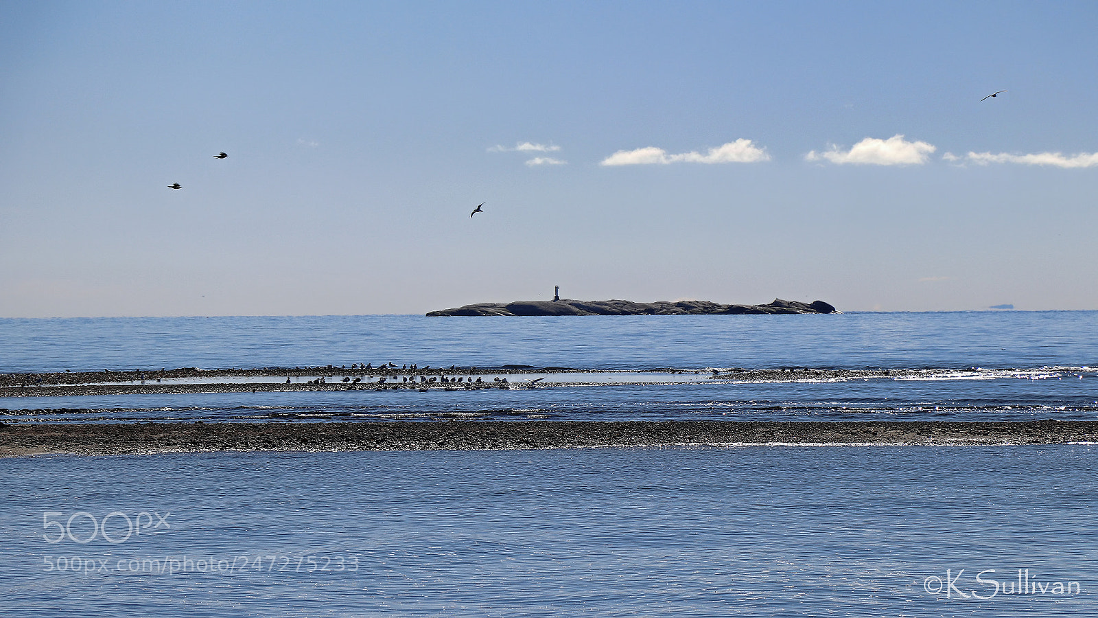 Canon EOS 77D (EOS 9000D / EOS 770D) sample photo. Midday photography