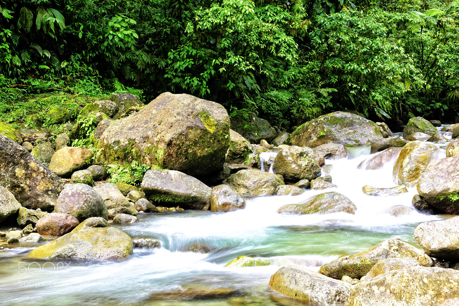 Nikon D810 sample photo. Rivière blanche photography