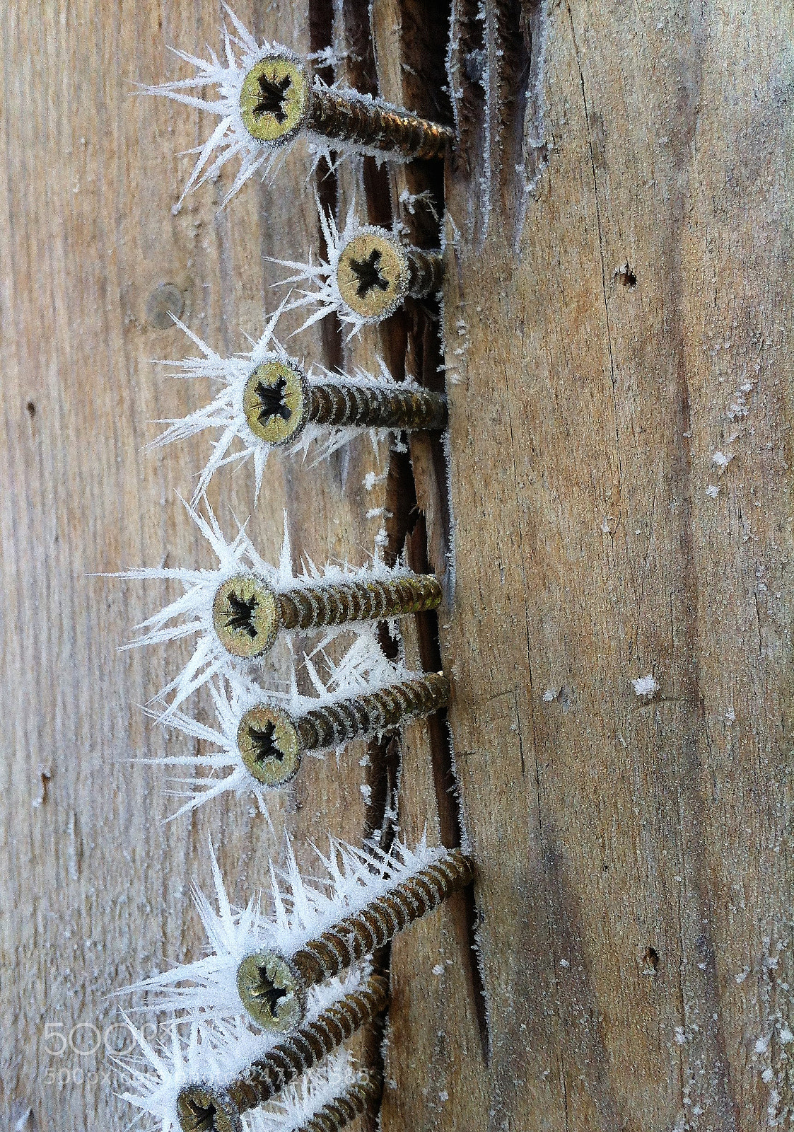 Apple iPhone 4 sample photo. Frozen screws photography