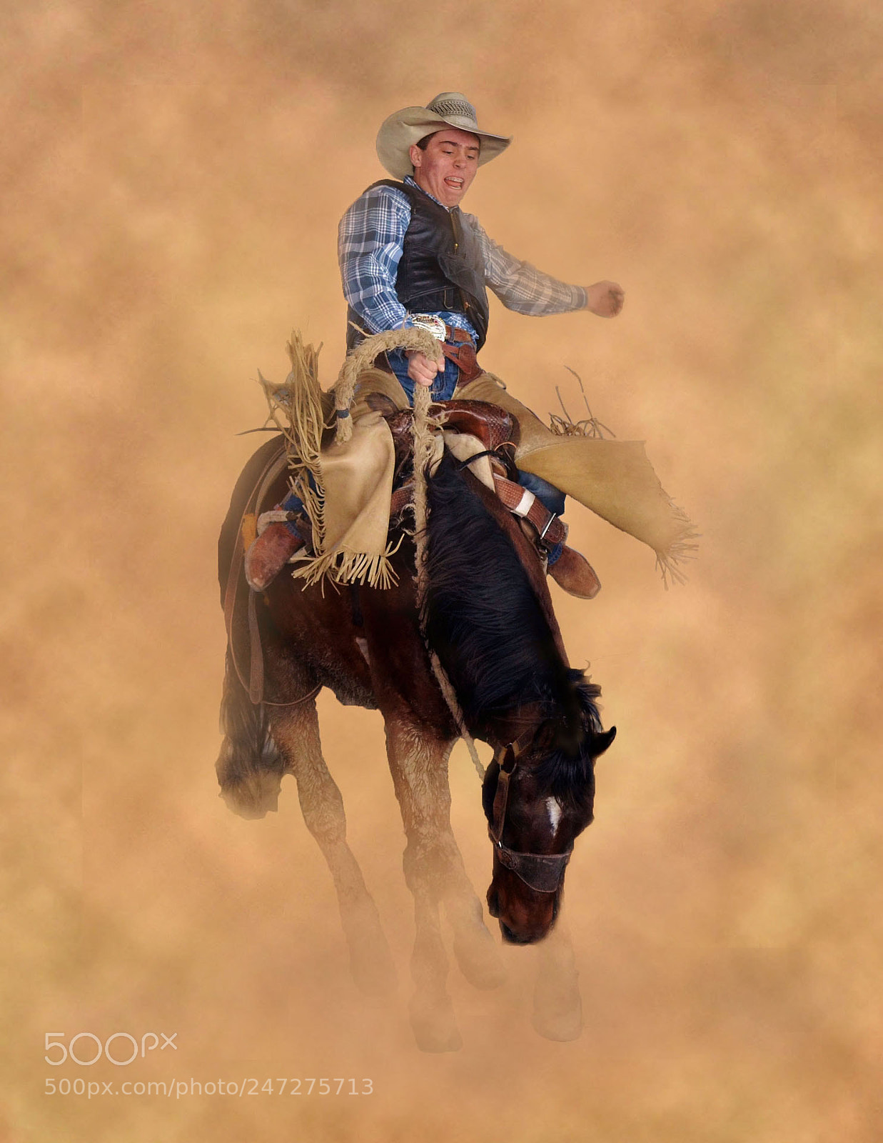 Nikon D5100 sample photo. Bronc schoolb photography