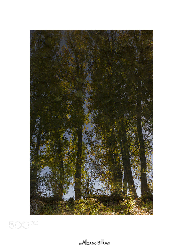 Canon EOS 7D sample photo. Reflejo en el agua. photography