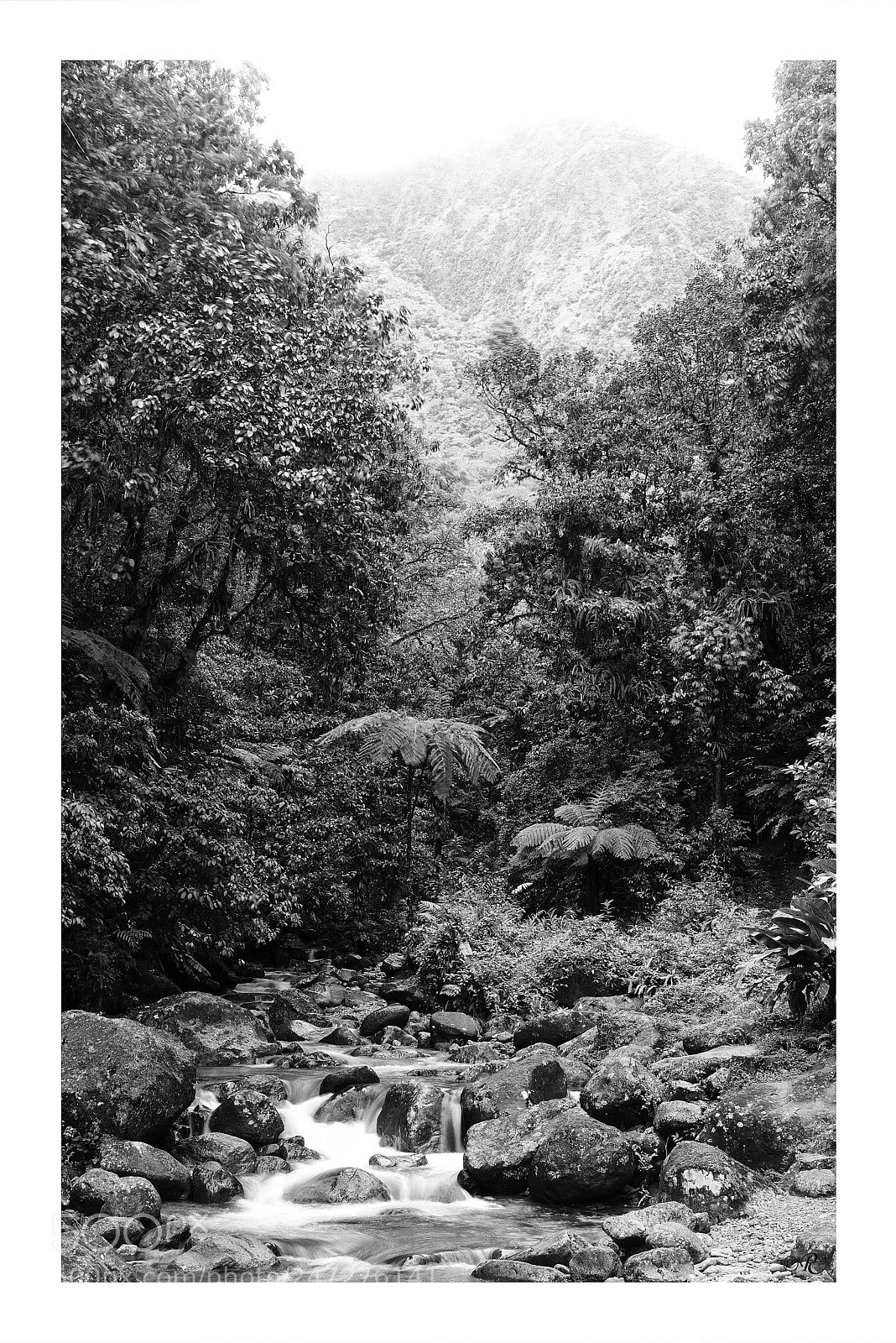 Nikon D810 sample photo. Piton de l'alma photography