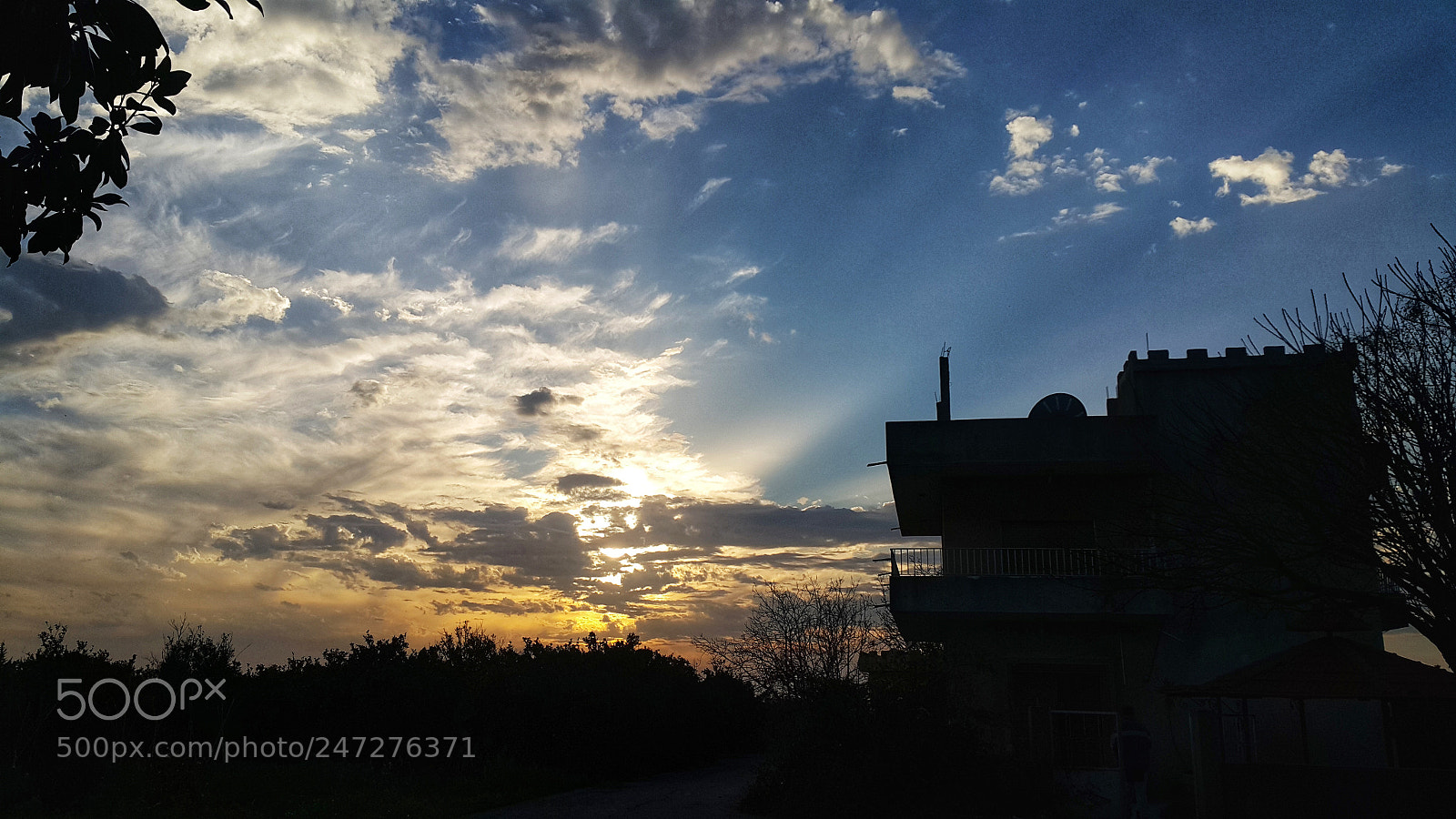 Samsung Galaxy Note4 sample photo. Untitled photography