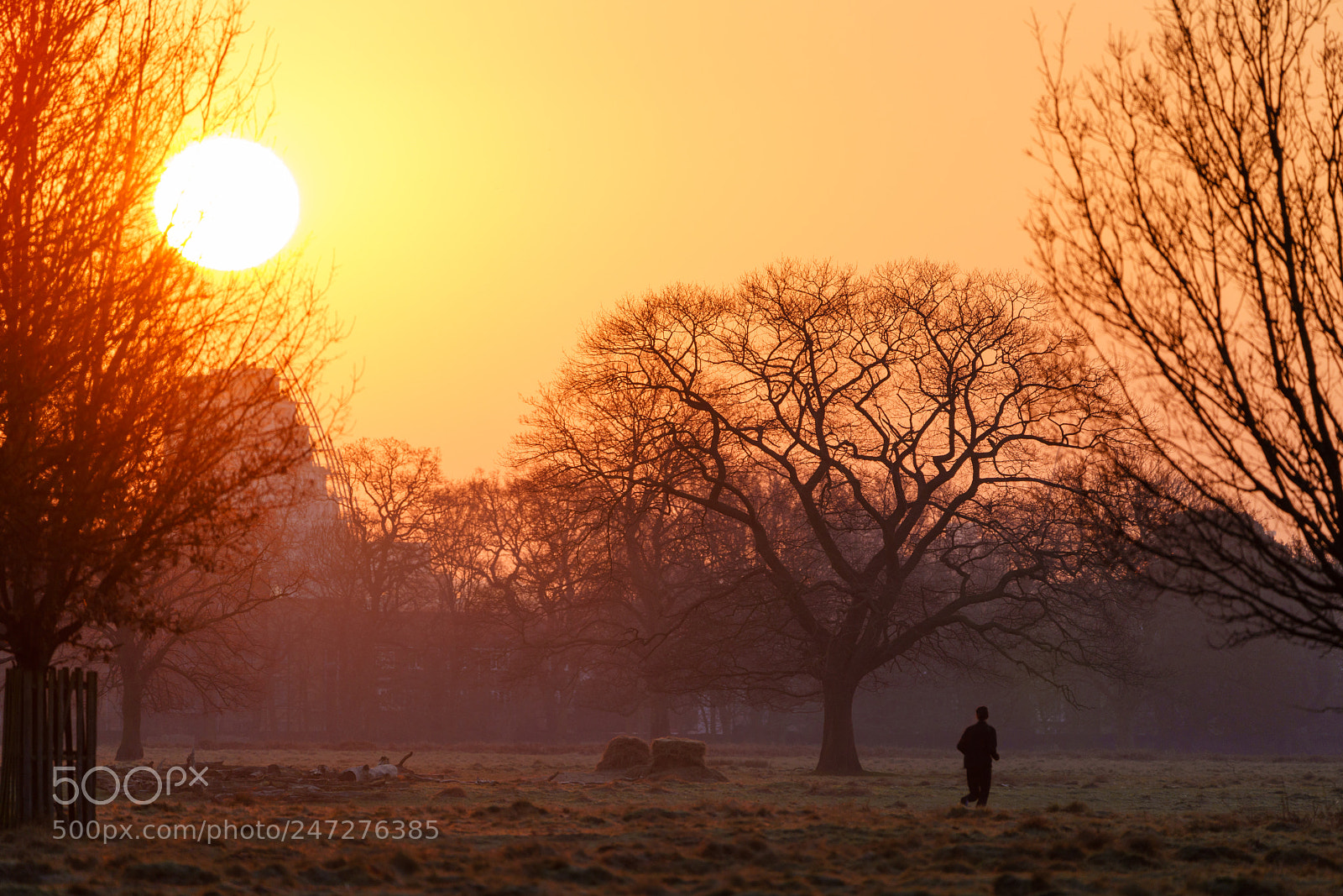 Sony a7R III sample photo. Sunrise in the park photography
