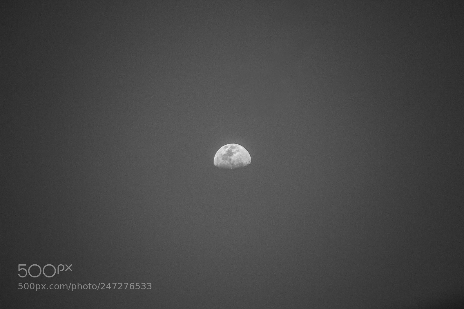 Nikon D3100 sample photo. Today's moon photography