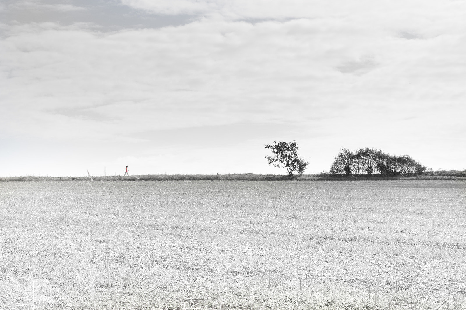 Nikon D3100 sample photo. Red man photography